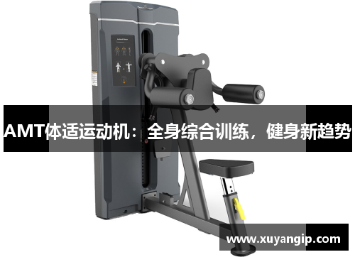 AMT体适运动机：全身综合训练，健身新趋势