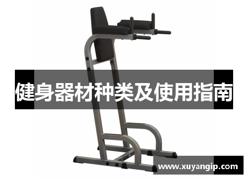健身器材种类及使用指南