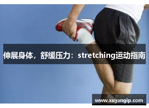 伸展身体，舒缓压力：stretching运动指南