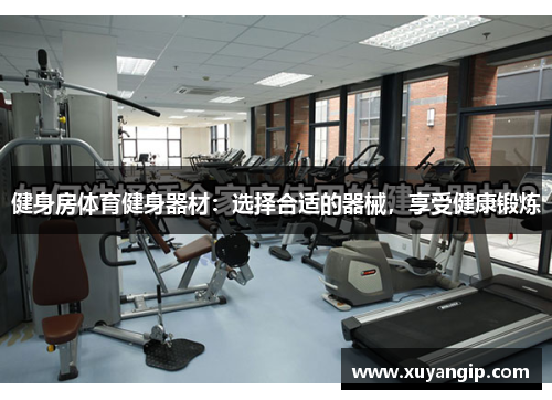 健身房体育健身器材：选择合适的器械，享受健康锻炼