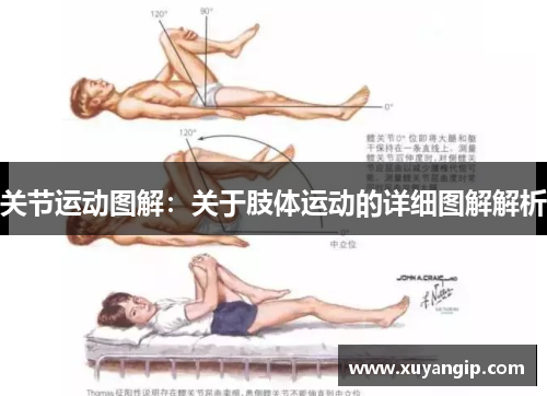 关节运动图解：关于肢体运动的详细图解解析