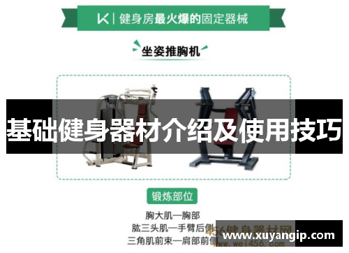 基础健身器材介绍及使用技巧