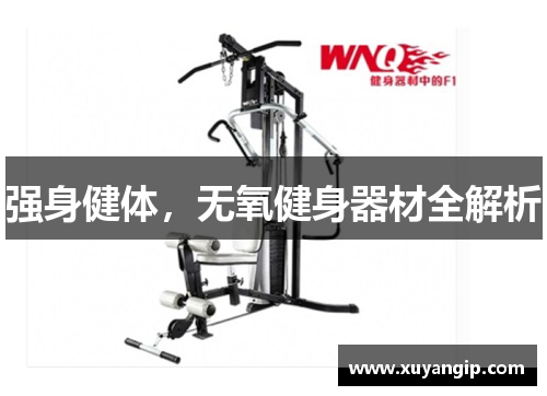 强身健体,无氧健身器材全解析 强身健体,无氧健身器材全解析