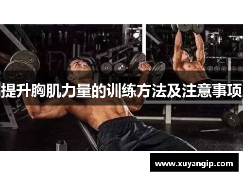 提升胸肌力量的训练方法及注意事项