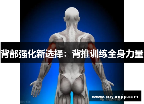背部强化新选择：背推训练全身力量
