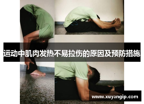 运动中肌肉发热不易拉伤的原因及预防措施