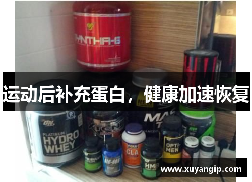 运动后补充蛋白,健康加速恢复 运动后补充蛋白,健康加速恢复