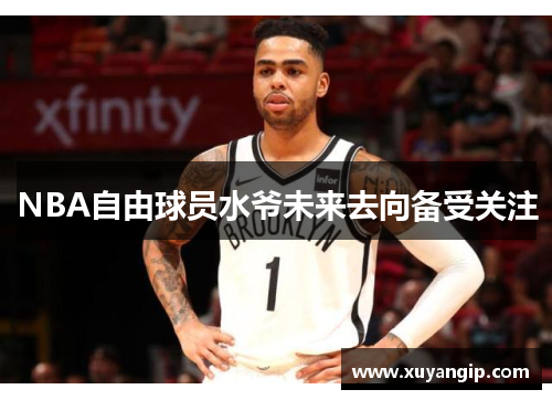 NBA自由球员水爷未来去向备受关注